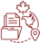 Complete Case Research